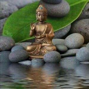 Meet your Posher, Juno